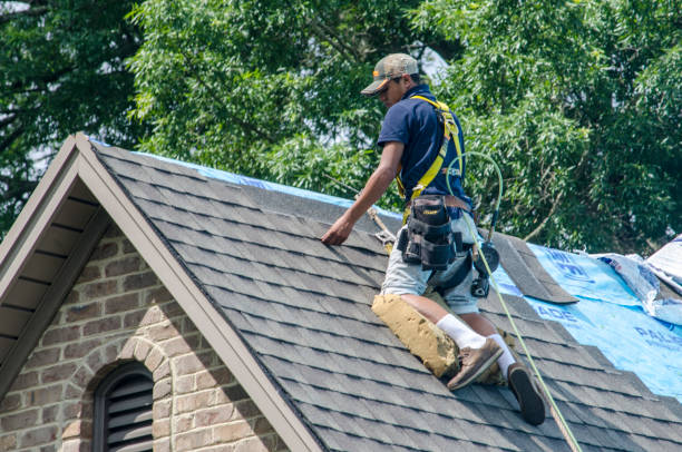 Best Roof Gutter Cleaning  in Matta, WA